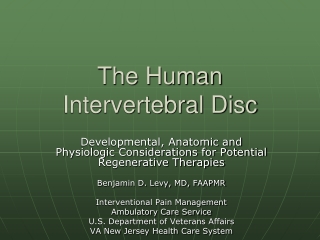 The Human Intervertebral Disc