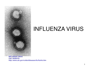 INFLUENZA VIRUS