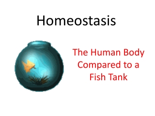 Homeostasis