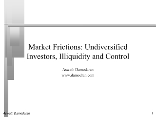 Market Frictions: Undiversified Investors, Illiquidity and Control