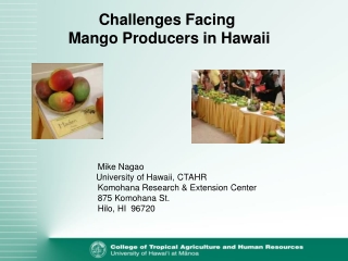 Challenges Facing  Mango Producers in Hawaii