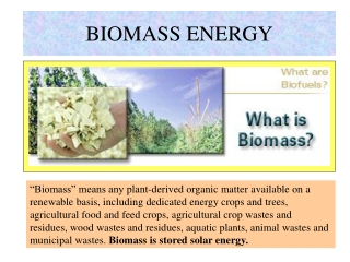 BIOMASS ENERGY