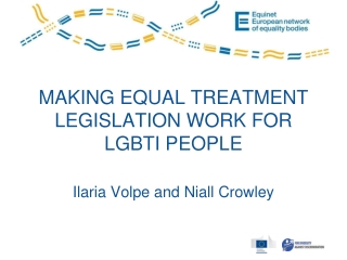 MAKING EQUAL TREATMENT LEGISLATION WORK FOR LGBTI PEOPLE