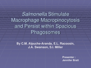 Salmonella  Stimulate Macrophage Macropinocytosis and Persist within Spacious Phagosomes