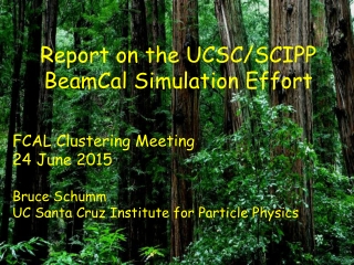 Report on the UCSC/SCIPP BeamCal Simulation Effort FCAL Clustering Meeting 24 June 2015