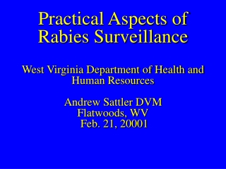 General Format: Rabies Background Safety and surveillance The Active surveillance process