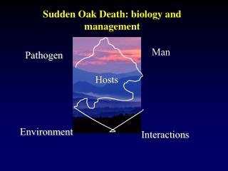 Sudden Oak Death: biology and management