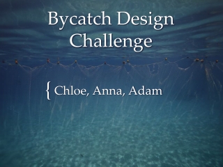 Bycatch Design Challenge