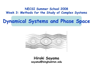 Hiroki Sayama sayama@ binghamton