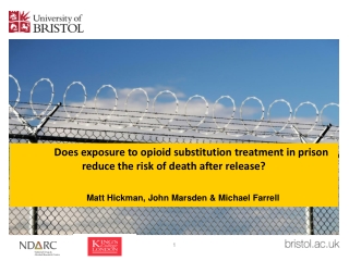 Does exposure to opioid substitution treatment in prison reduce the risk of death after release?
