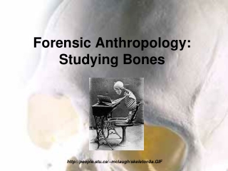 Forensic Anthropology: Studying Bones