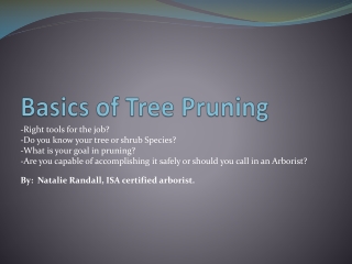 Basics of Tree Pruning