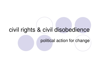 civil rights &amp; civil disobedience