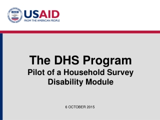 The DHS Program Pilot of a Household Survey Disability Module