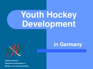 Youth Hockey Development