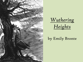 Wuthering Heights by Emily Bronte