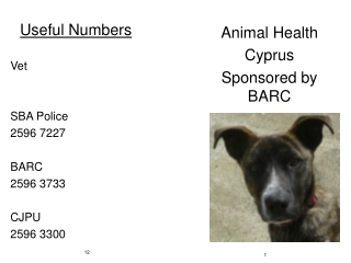 Useful Numbers Vet   SBA Police   2596 7227 BARC    2596 3733 CJPU    2596 3300