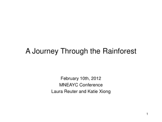 A Journey Through the Rainforest