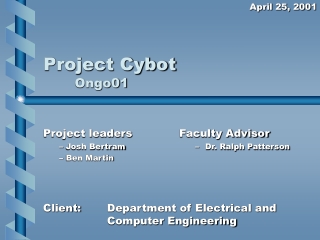 Project Cybot Ongo01