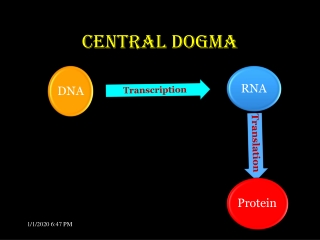 Central dogma