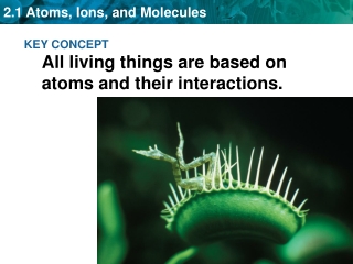 KEY CONCEPT All living things are based on atoms and their interactions.