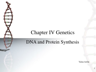 Chapter IV Genetics