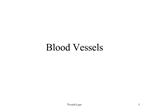 Blood Vessels