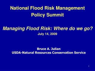 National Flood Risk Management Policy Summit Managing Flood Risk: Where do we go? July 14, 2009