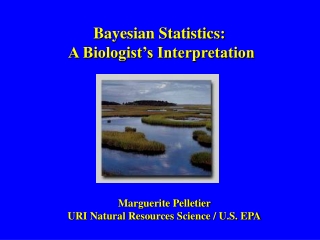 Bayesian Statistics:  A Biologist’s Interpretation