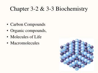 Chapter 3-2 &amp; 3-3 Biochemistry