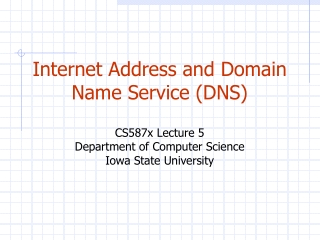 Internet Address and Domain Name Service (DNS) CS587x Lecture 5 Department of Computer Science