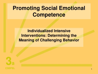 Promoting Social Emotional Competence