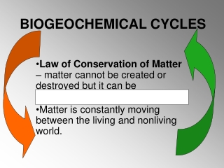 BIOGEOCHEMICAL CYCLES