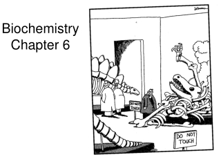 Biochemistry Chapter 6