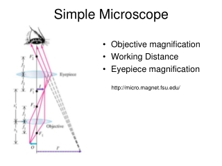 Simple Microscope