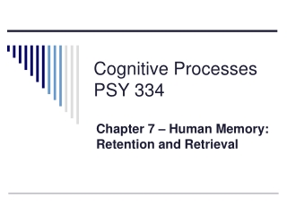 Cognitive Processes PSY 334