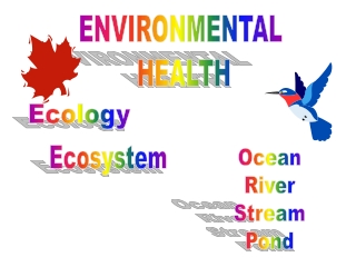 ENVIRONMENTAL  HEALTH