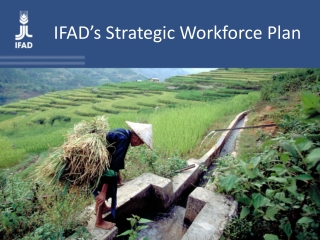 IFAD’s Strategic Workforce Plan