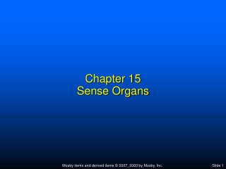 Chapter 15 Sense Organs