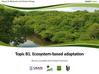 Ecosystem-based adaptation (EBA)