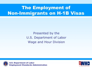 The Employment of  Non-Immigrants on H-1B Visas