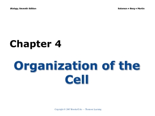 Organization of the Cell