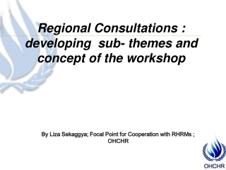 Regional Consultations : developing  sub- themes and concept of the workshop