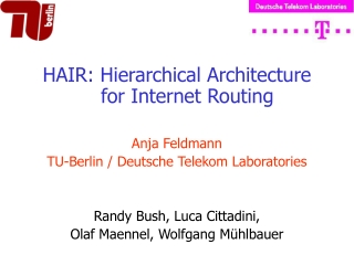 HAIR: Hierarchical Architecture for Internet Routing Anja Feldmann