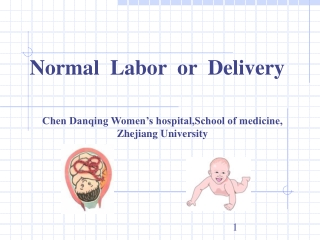 Normal  Labor  or  Delivery