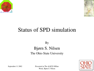 Status of SPD simulation