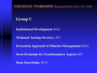 STRATEGIC WORKSHOP ,  Kopanong Hotel, July 8 &amp; 9, 2004