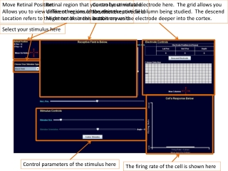 Move Retinal Position: Allows you to view different regions of the retina.