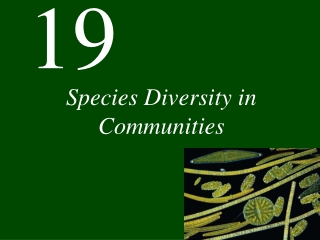 Species Diversity in Communities