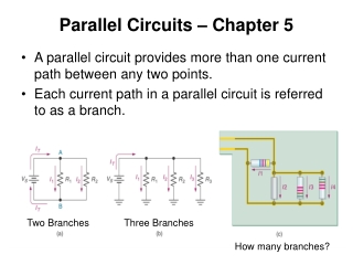 Parallel Circuits – Chapter 5